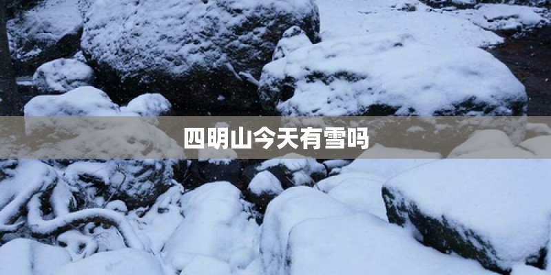 四明山今天有雪吗 四明山今天有雪吗