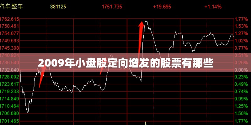 2009年小盘股定向增发的股票有那些