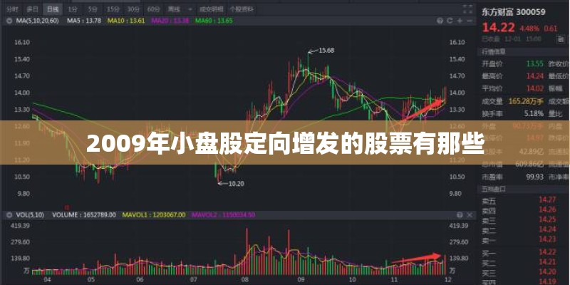 2009年小盘股定向增发的股票有那些