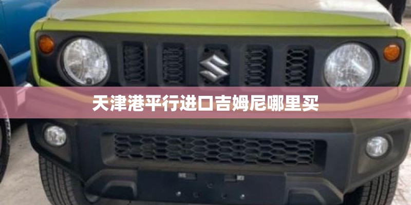 天津港平行进口吉姆尼哪里买