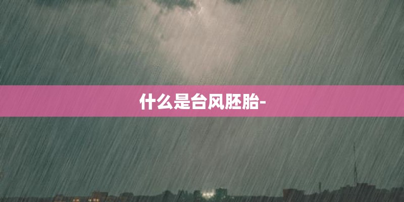 什么是台风胚胎-