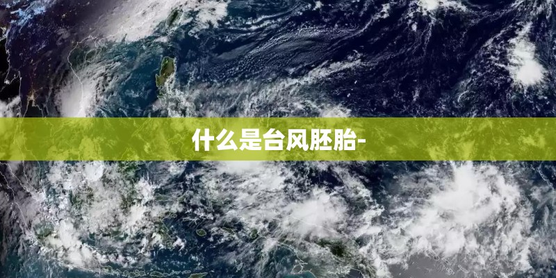 什么是台风胚胎-