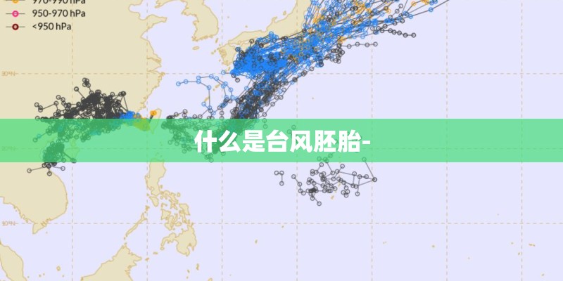 什么是台风胚胎-