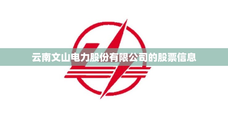 云南文山电力股份有限公司的股票信息