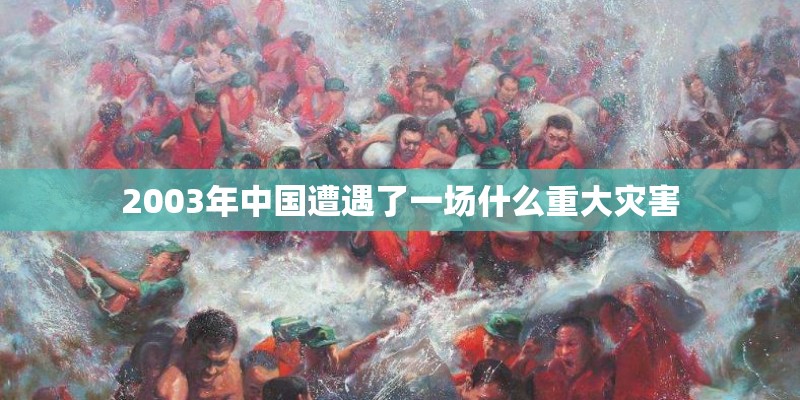 2003年中国遭遇了一场什么重大灾害