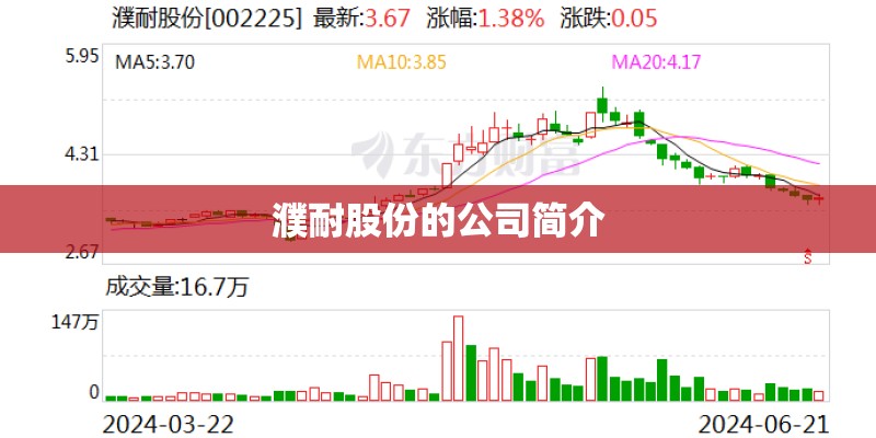 濮耐股份的公司简介