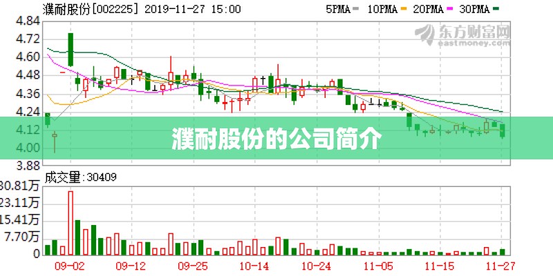 濮耐股份的公司简介