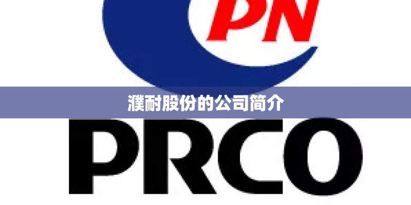 濮耐股份的公司简介
