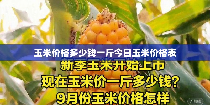 玉米价格多少钱一斤今日玉米价格表