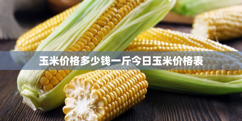 玉米价格多少钱一斤今日玉米价格表