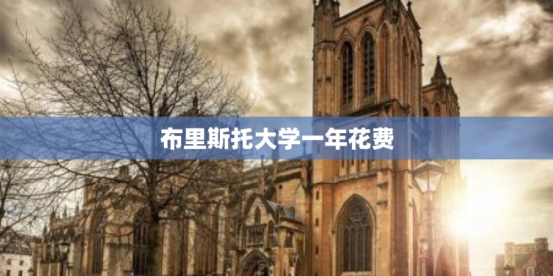 布里斯托大学一年花费
