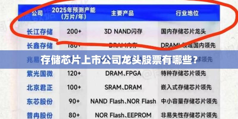 存储芯片上市公司龙头股票有哪些? 存储芯片上市公司龙头股票有哪些?