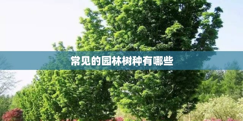 常见的园林树种有哪些