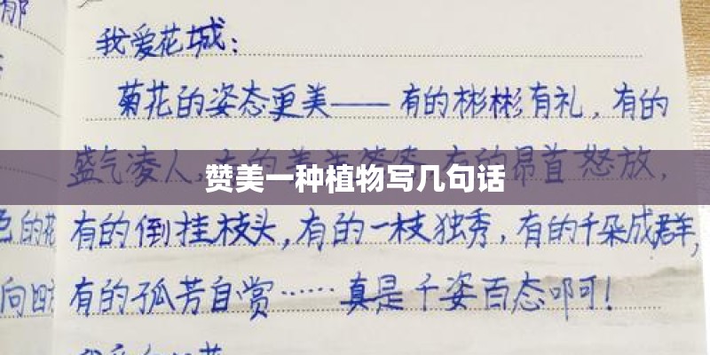 赞美一种植物写几句话