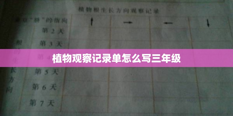 植物观察记录单怎么写三年级