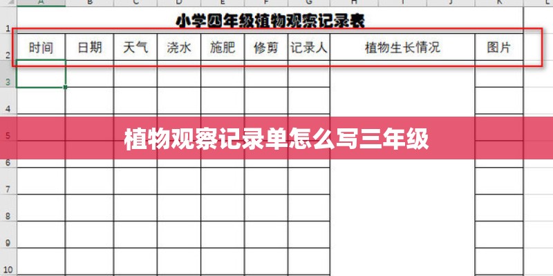 植物观察记录单怎么写三年级