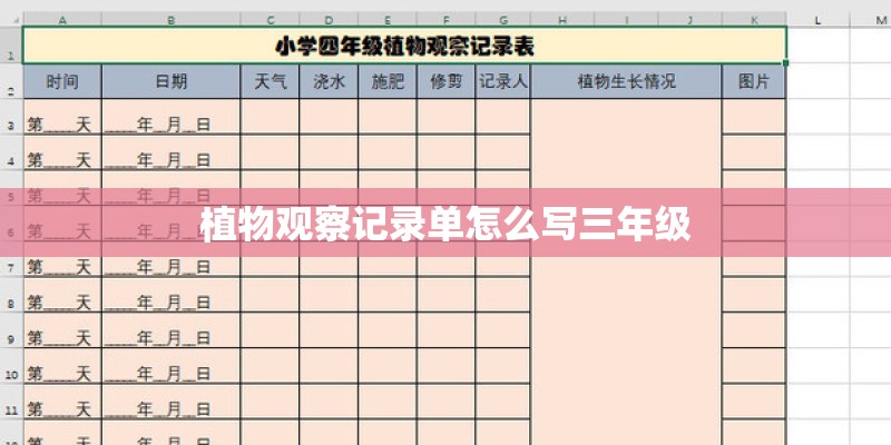 植物观察记录单怎么写三年级