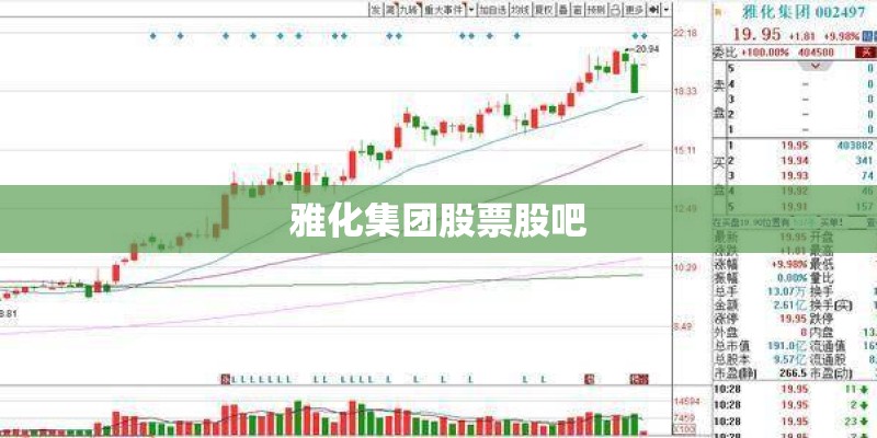 雅化集团股票股吧