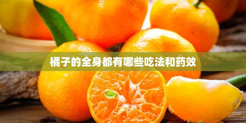 橘子的全身都有哪些吃法和药效