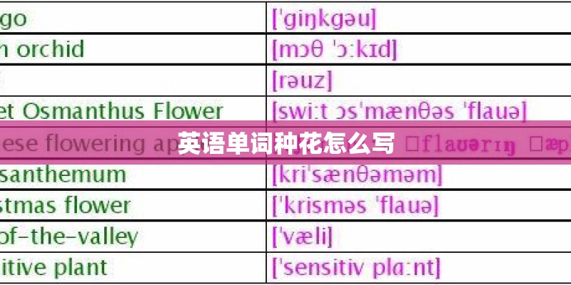 英语单词种花怎么写