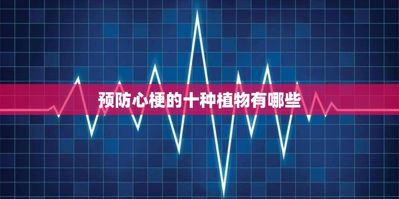 预防心梗的十种植物有哪些