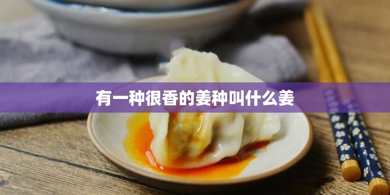 有一种很香的姜种叫什么姜
