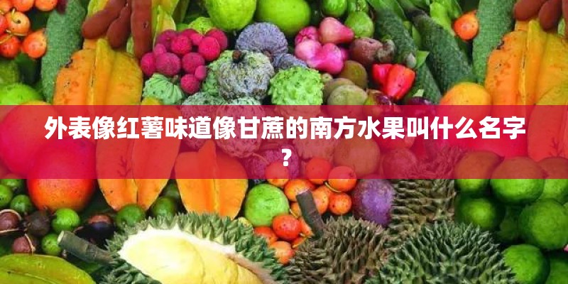 外表像红薯味道像甘蔗的南方水果叫什么名字？