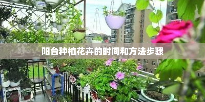 阳台种植花卉的时间和方法步骤