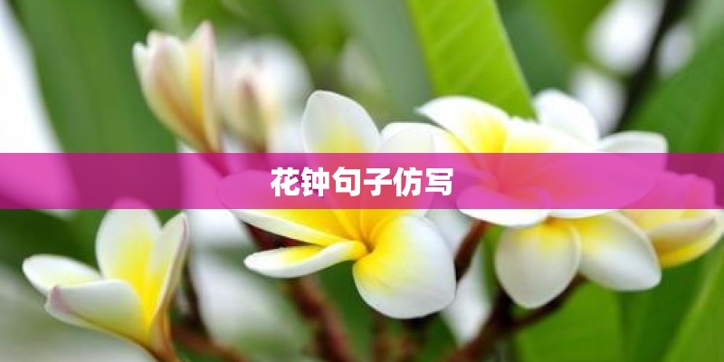 花钟句子仿写