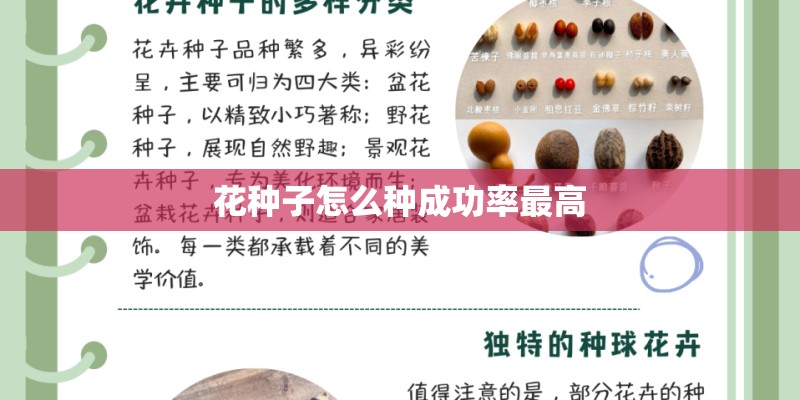 花种子怎么种成功率最高