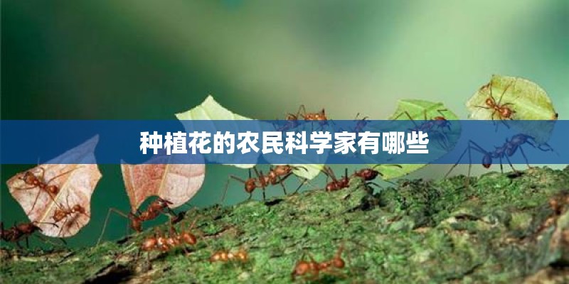 种植花的农民科学家有哪些