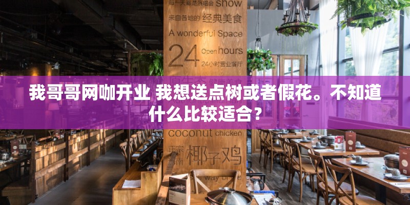 我哥哥网咖开业 我想送点树或者假花。不知道什么比较适合？