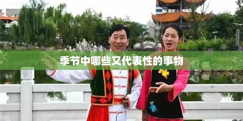 季节中哪些又代表性的事物