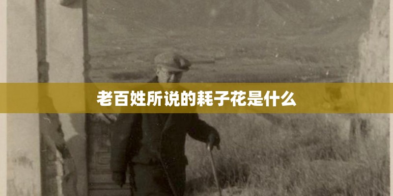 老百姓所说的耗子花是什么