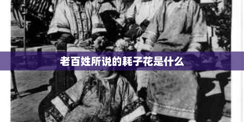 老百姓所说的耗子花是什么