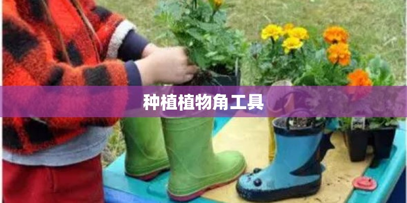 种植植物角工具