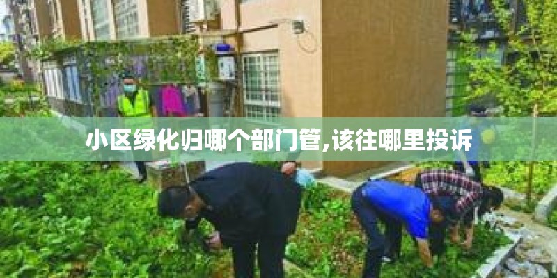 小区绿化归哪个部门管,该往哪里投诉