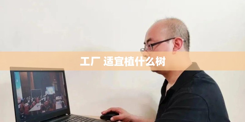 工厂 适宜植什么树