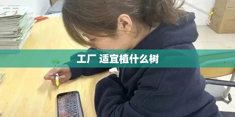 工厂 适宜植什么树