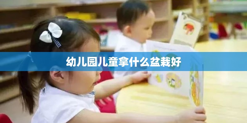 幼儿园儿童拿什么盆栽好