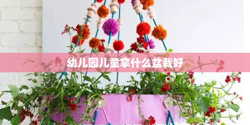 幼儿园儿童拿什么盆栽好