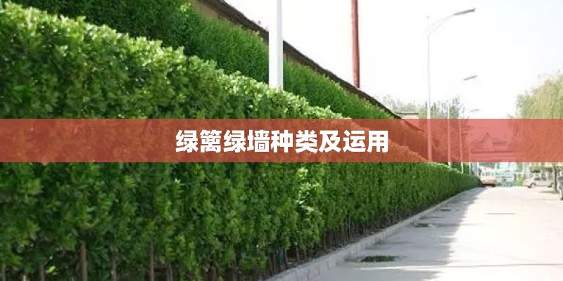 绿篱绿墙种类及运用