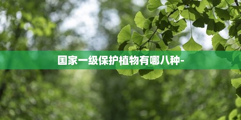 国家一级保护植物有哪八种-