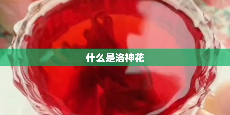 什么是洛神花