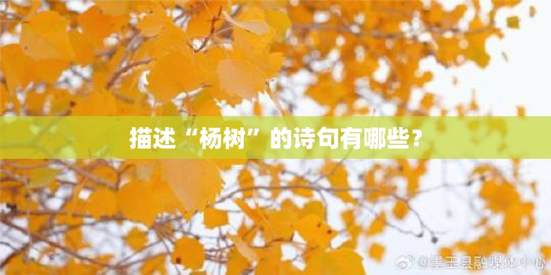 描述“杨树”的诗句有哪些？