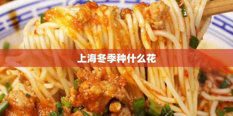 上海冬季种什么花