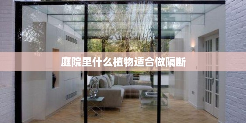 庭院里什么植物适合做隔断