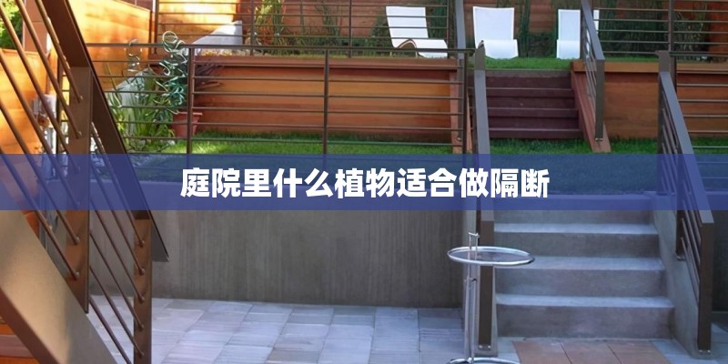 庭院里什么植物适合做隔断