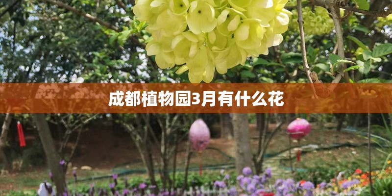 成都植物园3月有什么花