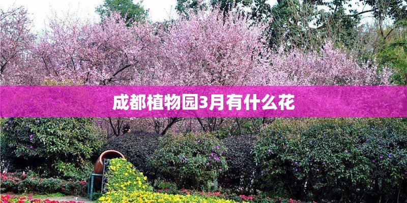 成都植物园3月有什么花